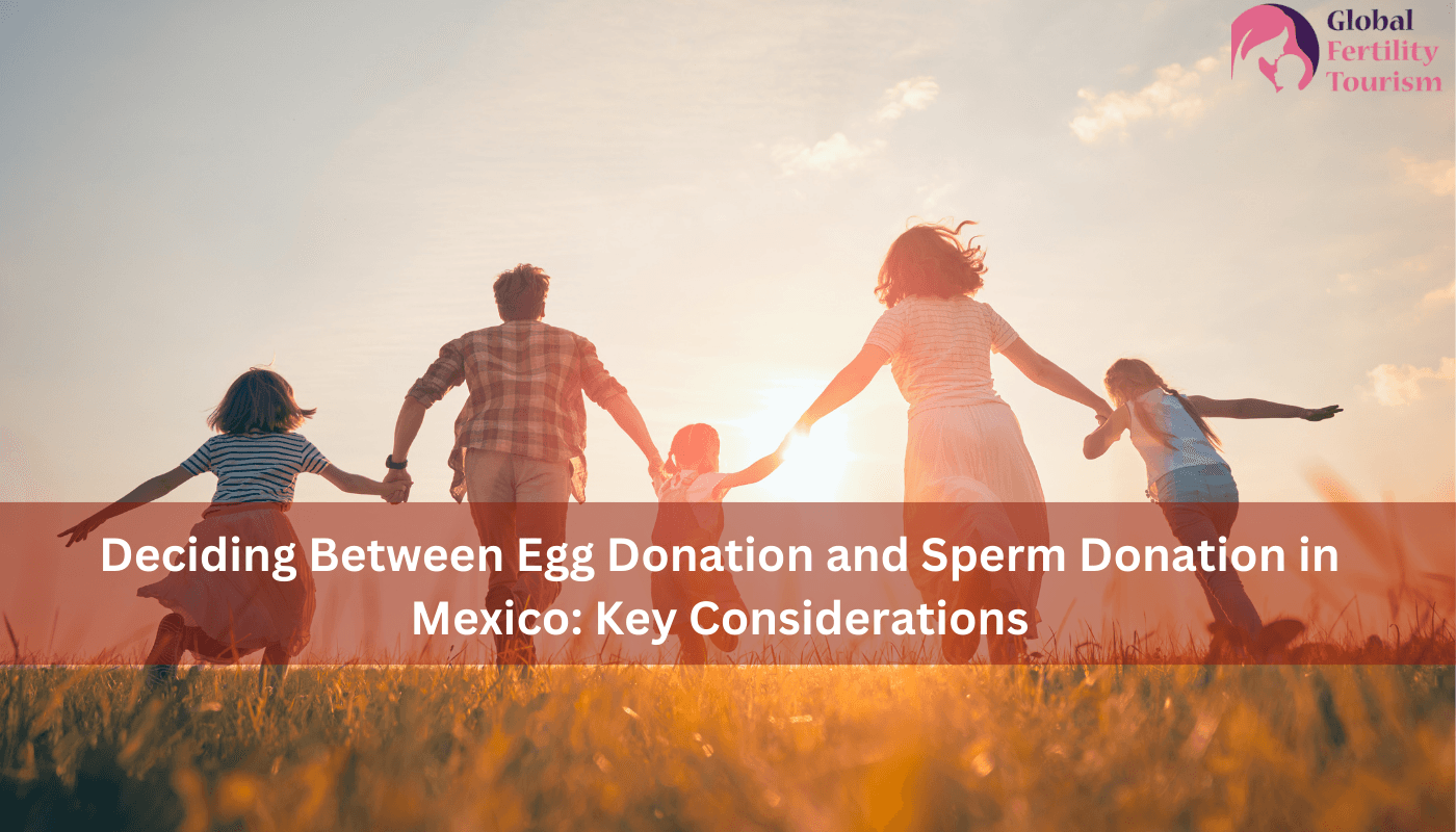 Deciding Between Egg Donation and Sperm Donation in Mexico: Key Considerations